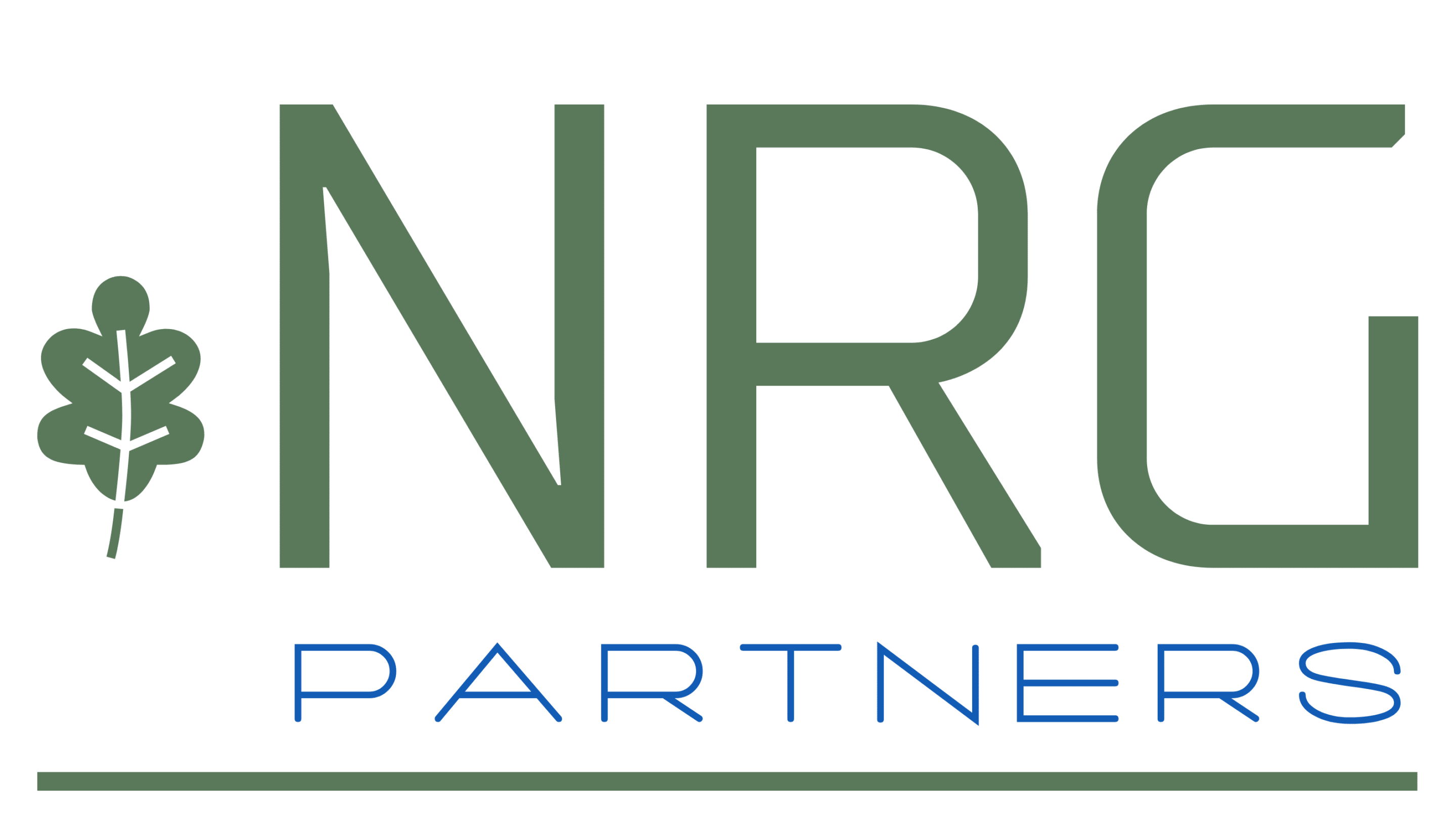 Logo NRG partners